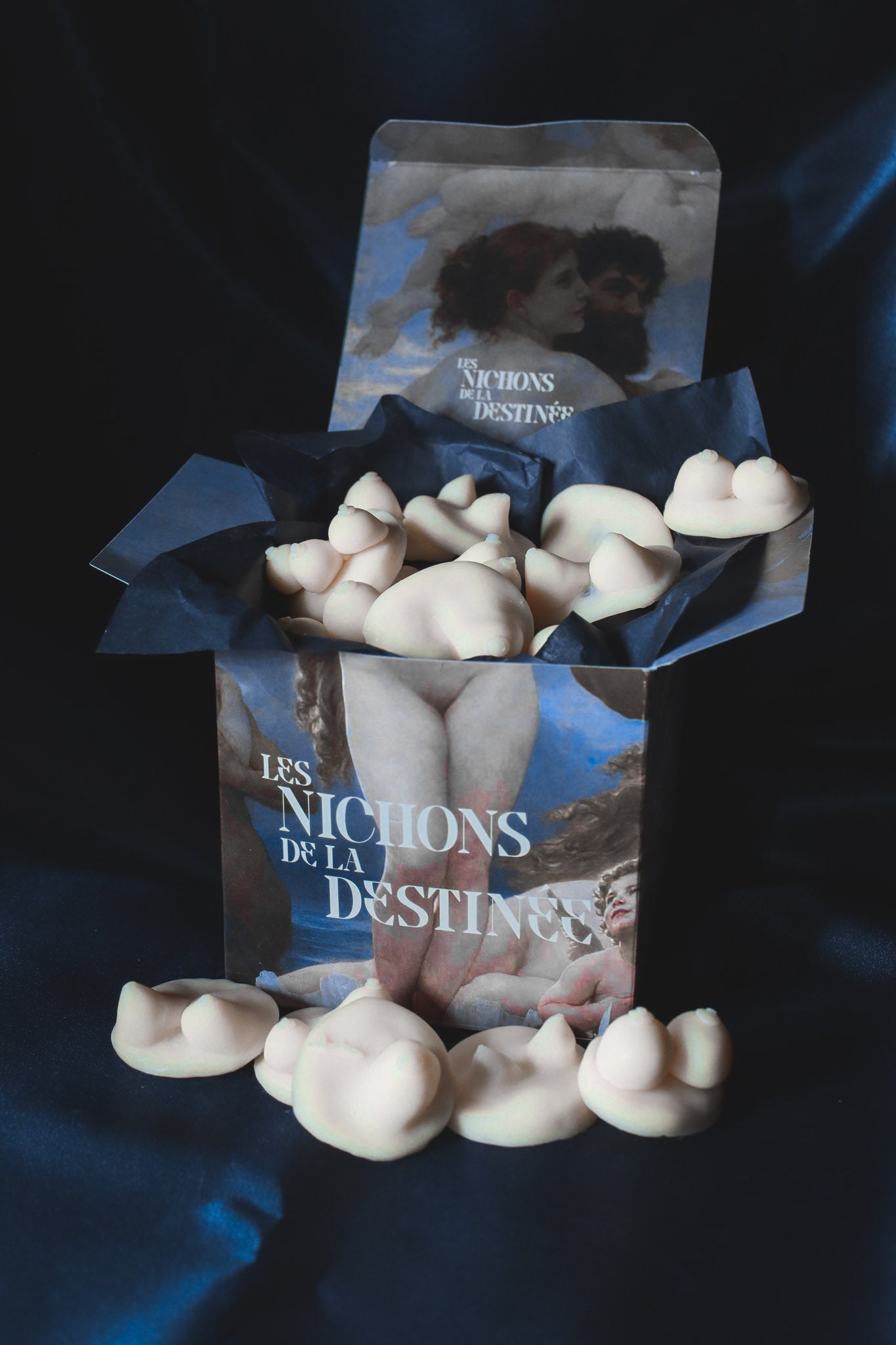 Coffret de 10 Nichons de la Destinée en vrac